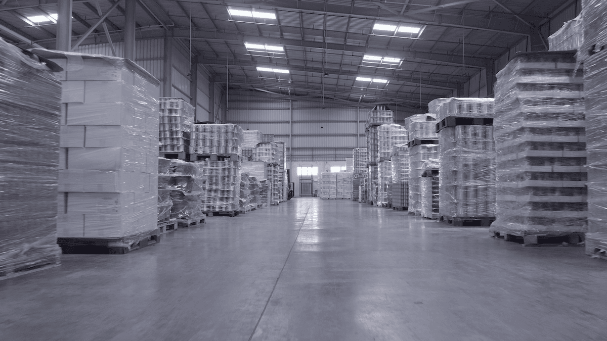 Corn field at sunrise